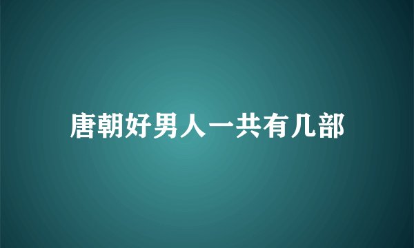 唐朝好男人一共有几部