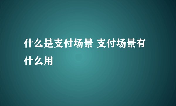 什么是支付场景 支付场景有什么用