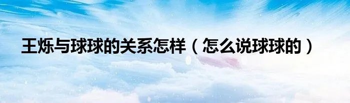 王烁与球球的关系怎样（怎么说球球的）