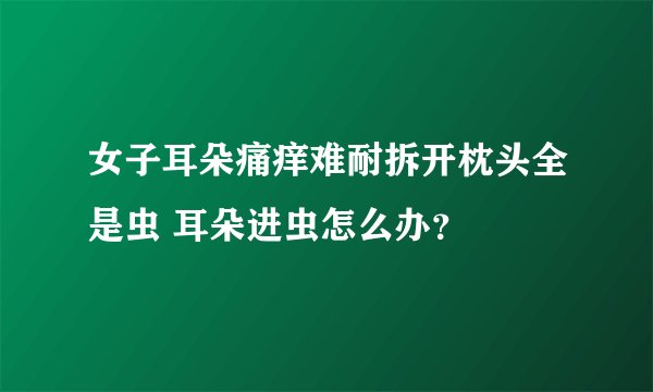 女子耳朵痛痒难耐拆开枕头全是虫 耳朵进虫怎么办？