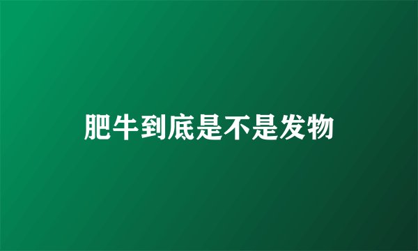 肥牛到底是不是发物