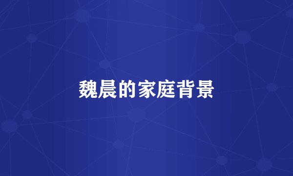 魏晨的家庭背景