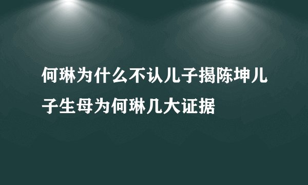 何琳为什么不认儿子揭陈坤儿子生母为何琳几大证据