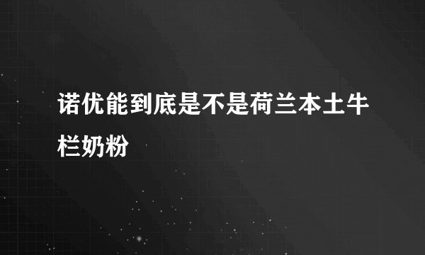 诺优能到底是不是荷兰本土牛栏奶粉