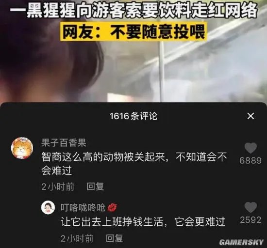 欧美女生vs亚洲女生的自拍 微胖界天花板的囧图