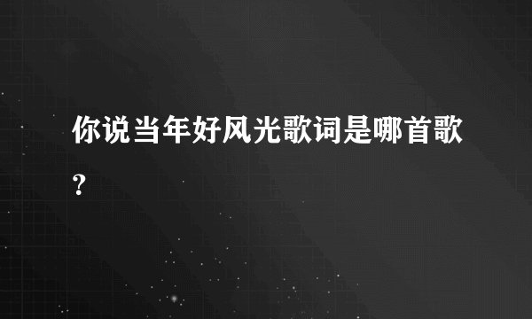 你说当年好风光歌词是哪首歌？