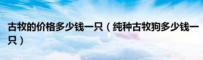 古牧的价格多少钱一只(纯种古牧狗多少钱一只)