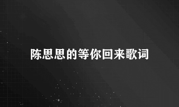 陈思思的等你回来歌词