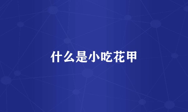 什么是小吃花甲