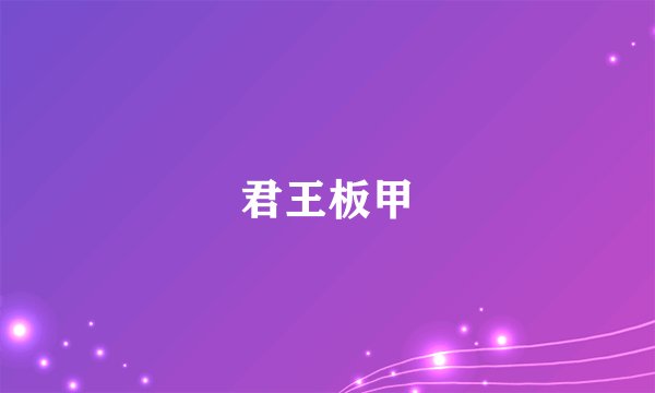 君王板甲