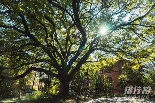 中国最美的十所大学排名_全国最美大学排名最新