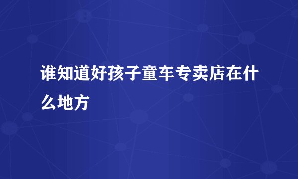 谁知道好孩子童车专卖店在什么地方