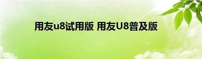用友u8试用版 用友U8普及版