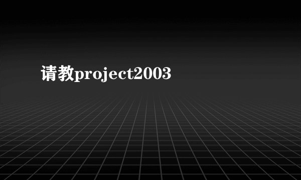 请教project2003