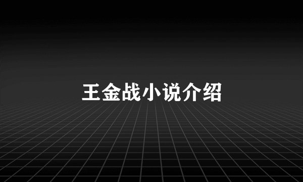王金战小说介绍
