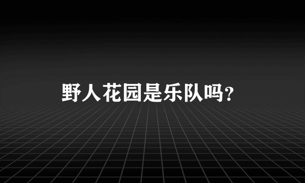 野人花园是乐队吗？