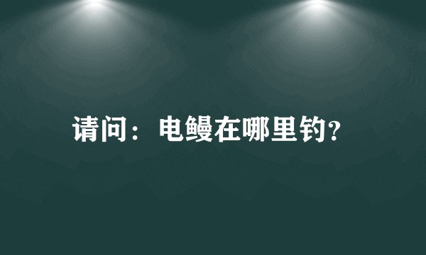 请问：电鳗在哪里钓？