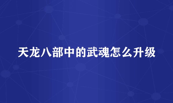 天龙八部中的武魂怎么升级