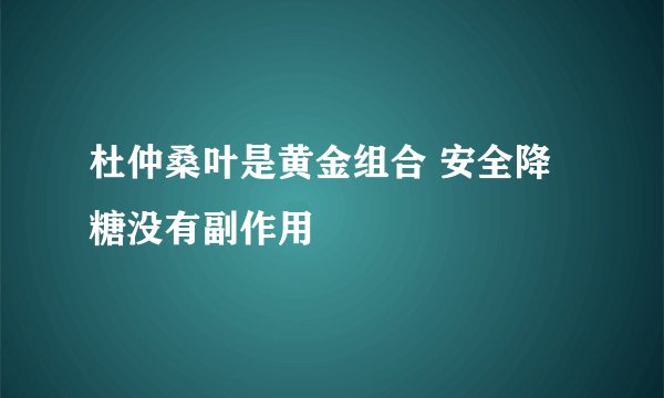 杜仲桑叶是黄金组合 安全降糖没有副作用