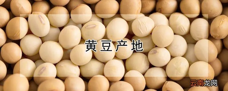 黄豆产地