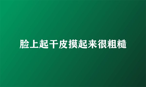 脸上起干皮摸起来很粗糙