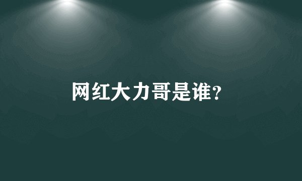 网红大力哥是谁？