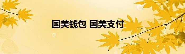 国美钱包 国美支付