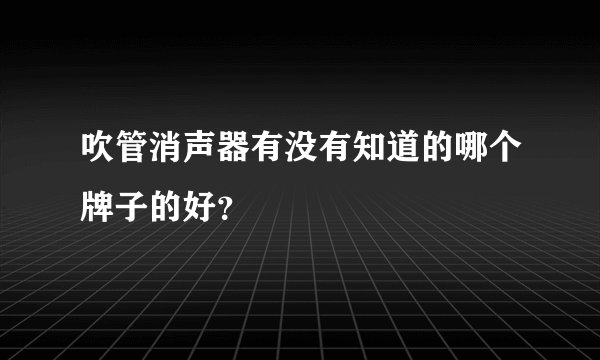 吹管消声器有没有知道的哪个牌子的好?