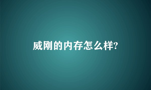 威刚的内存怎么样?