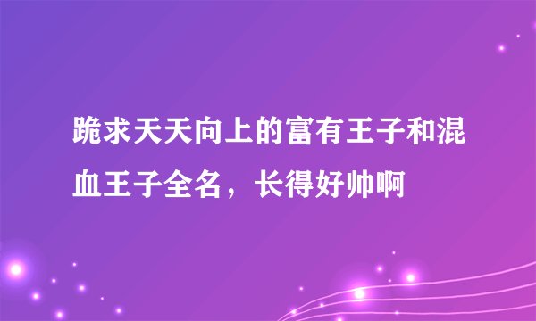 跪求天天向上的富有王子和混血王子全名，长得好帅啊