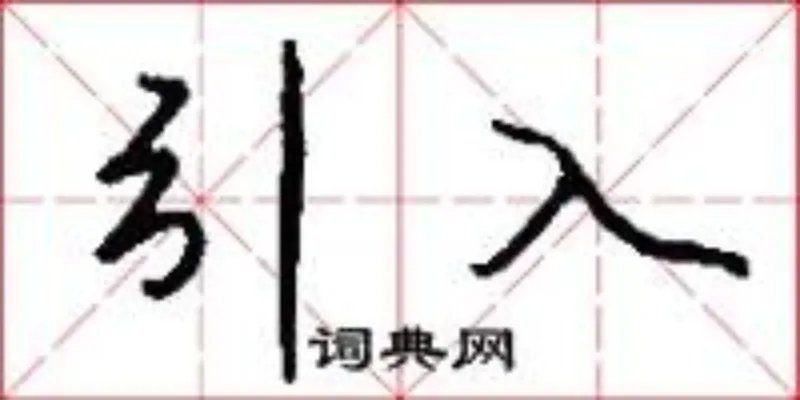 引入