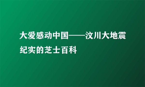大爱感动中国——汶川大地震纪实的芝士百科
