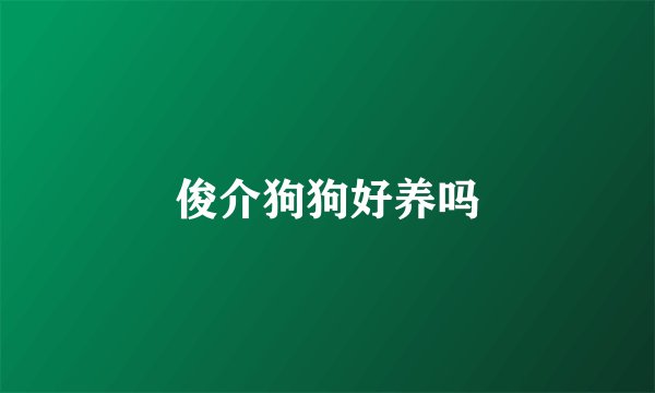 俊介狗狗好养吗