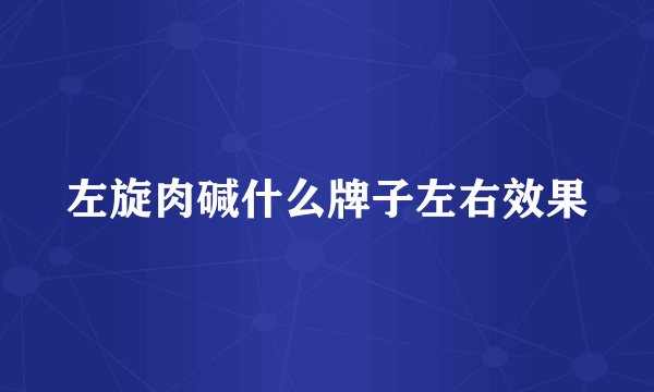 左旋肉碱什么牌子左右效果