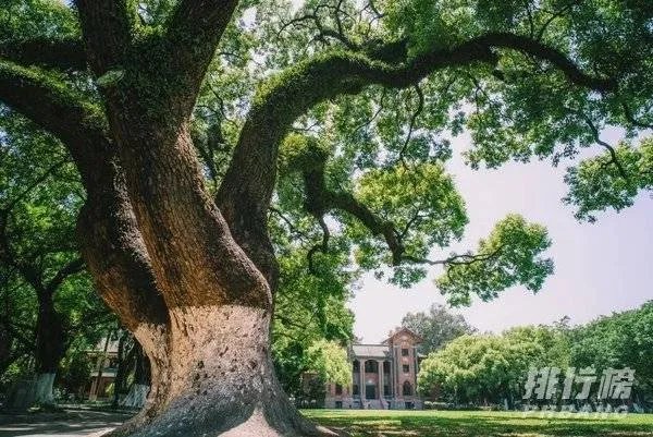 中国最美的十所大学排名_全国最美大学排名最新