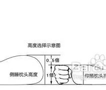 颈椎枕什么牌子好？
