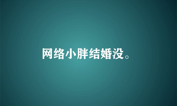 网络小胖结婚没。