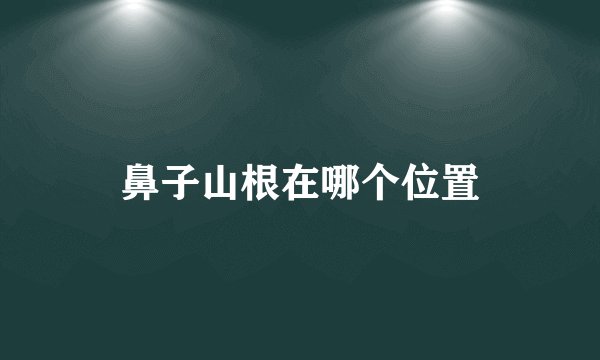 鼻子山根在哪个位置