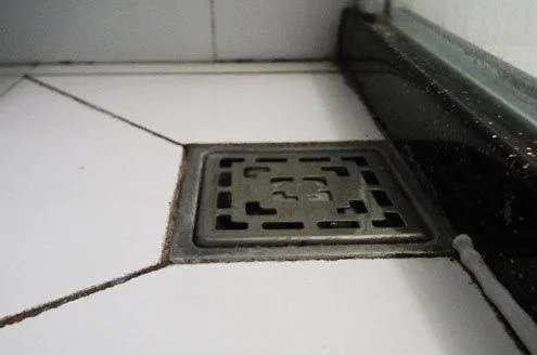 防臭地漏到底有没有必要装?用过就知道错得离谱!