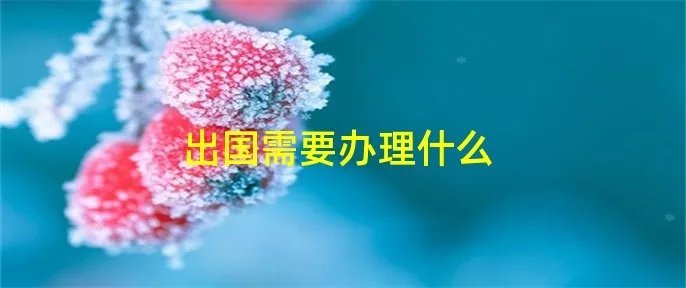 出国需要办理什么