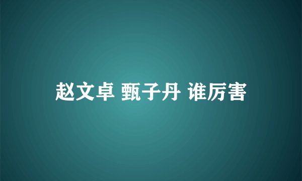 赵文卓 甄子丹 谁厉害