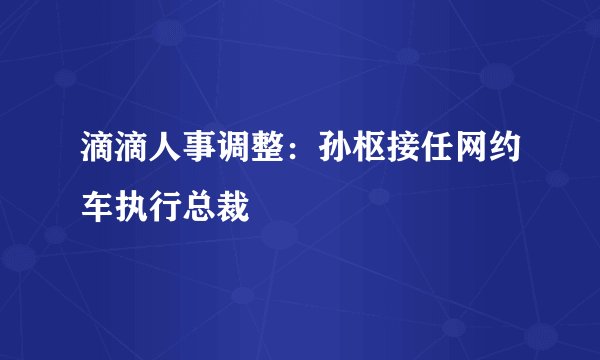 滴滴人事调整:孙枢接任网约车执行总裁