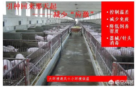 11月13日，云南腾冲发生非洲猪瘟疫情，养殖户冬天怎么防控才能保证猪场安全？