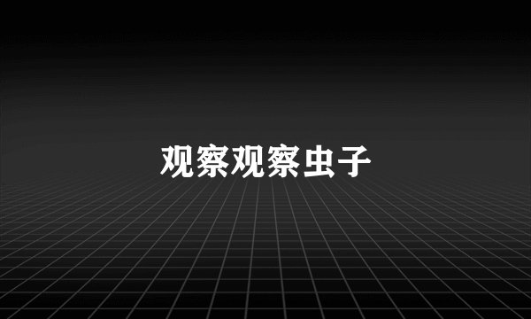 观察观察虫子