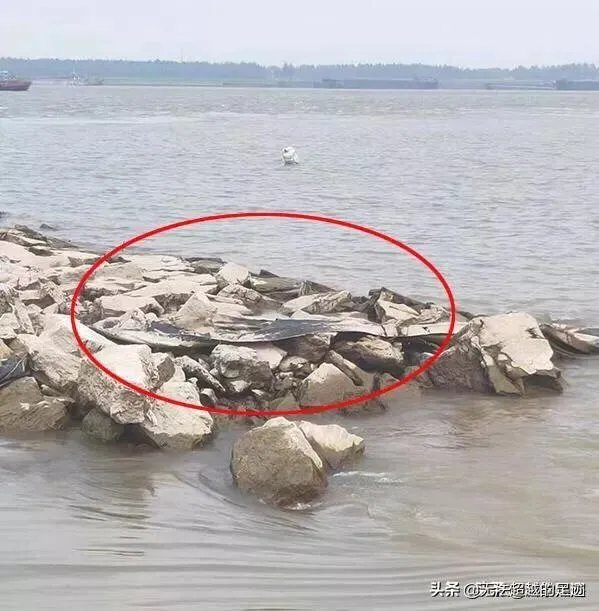 前几天出现的“三峡水怪”是什么,会是未知的生物吗?
