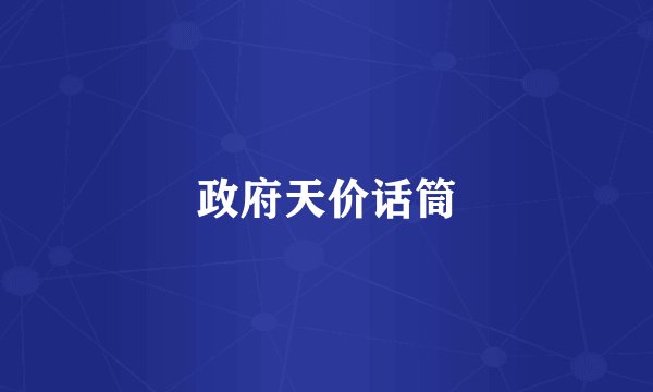 政府天价话筒