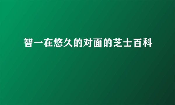 智一在悠久的对面的芝士百科