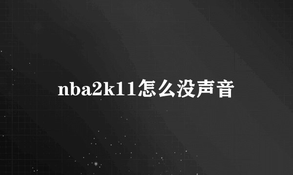 nba2k11怎么没声音