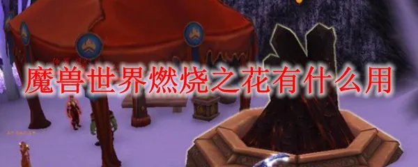 魔兽世界燃烧之花有什么用