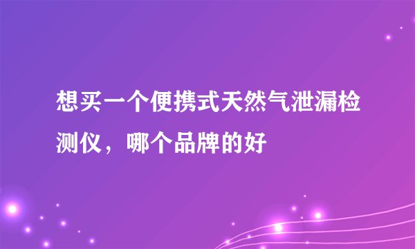 想买一个便携式天然气泄漏检测仪，哪个品牌的好